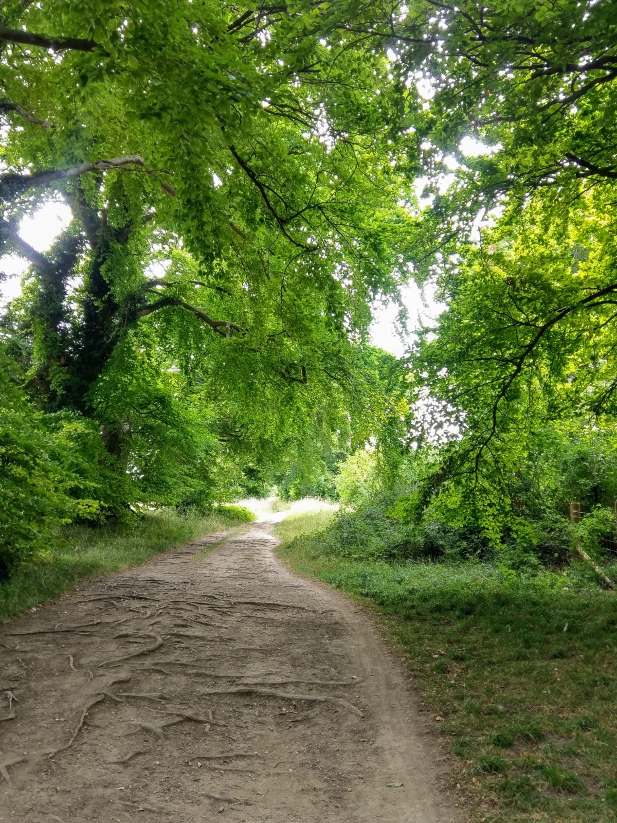 on Deakin Hill